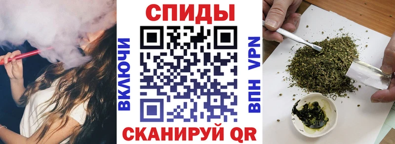 Купить где  Сызрань  Бутират BDO 